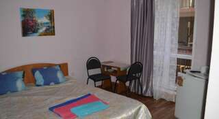 Гостиница Guest House Sofia Сочи Номер "Стандарт"-6